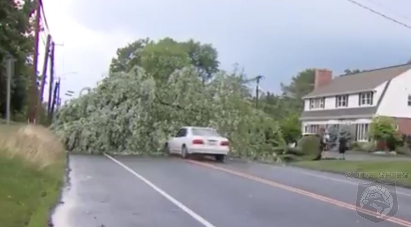 WATCH: We've Watched This Over And Over. Tell Us WHY This Guy Sees The Tree And STILL Hits It?